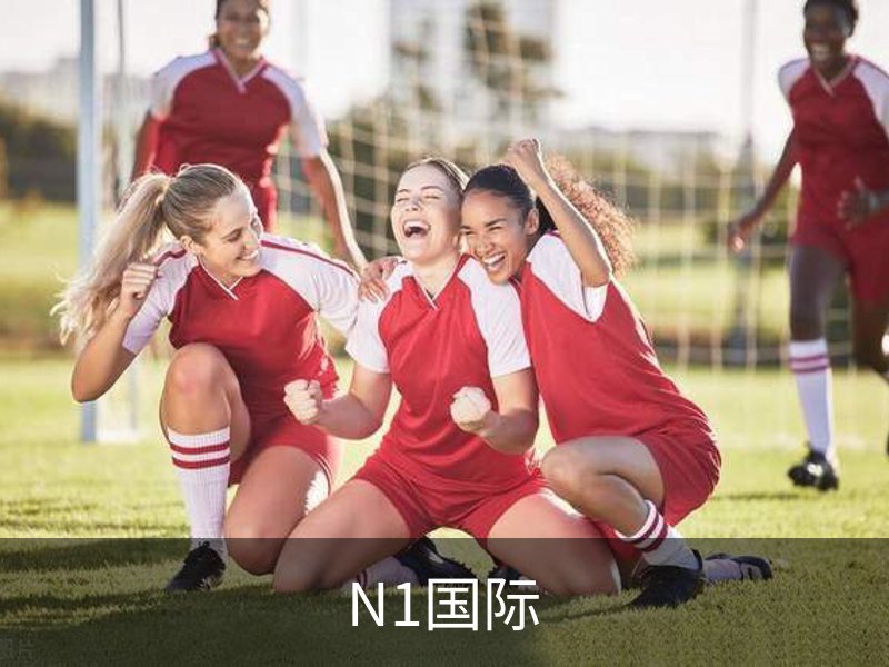 N1国际品牌故事